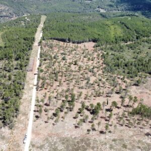 empresa de movimiento de tierra