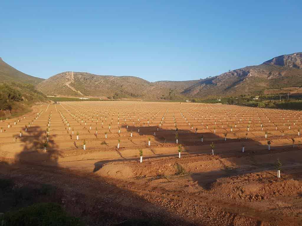 transformaciones agrarias